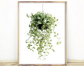 plant art